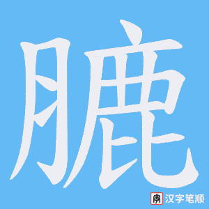膔笔顺动图
