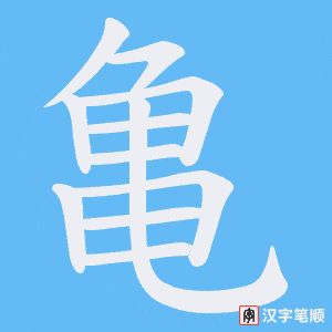 亀笔顺动图