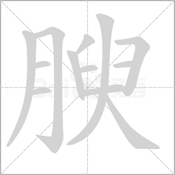腴笔顺动图