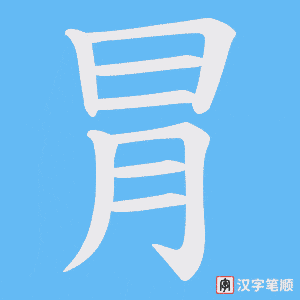 冐笔顺动图