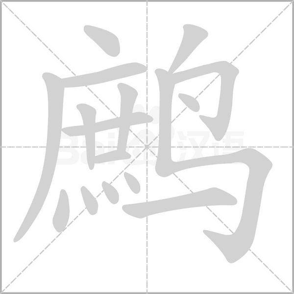 鹧笔顺动图