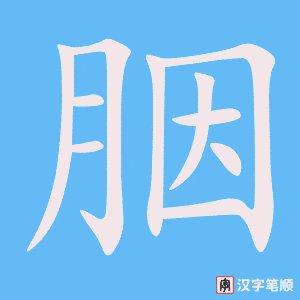 胭笔顺动图