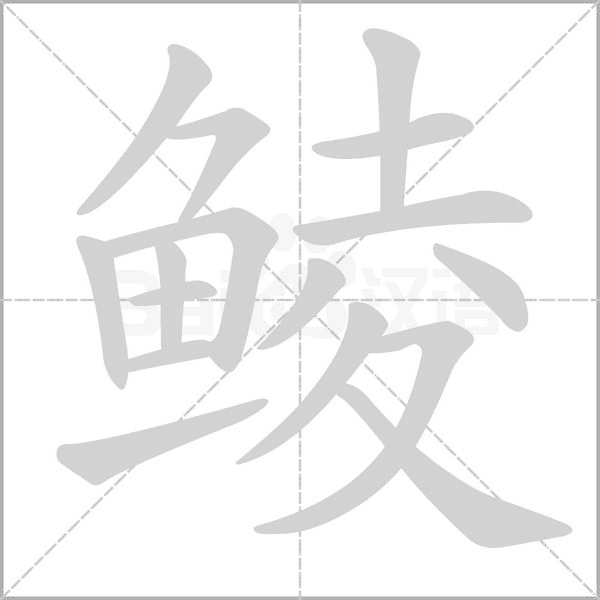 鲮笔顺动图