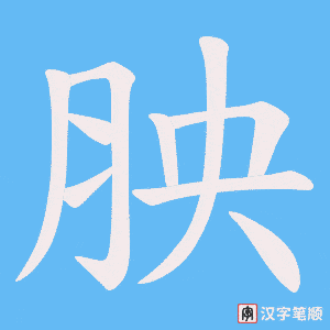 胦笔顺动图