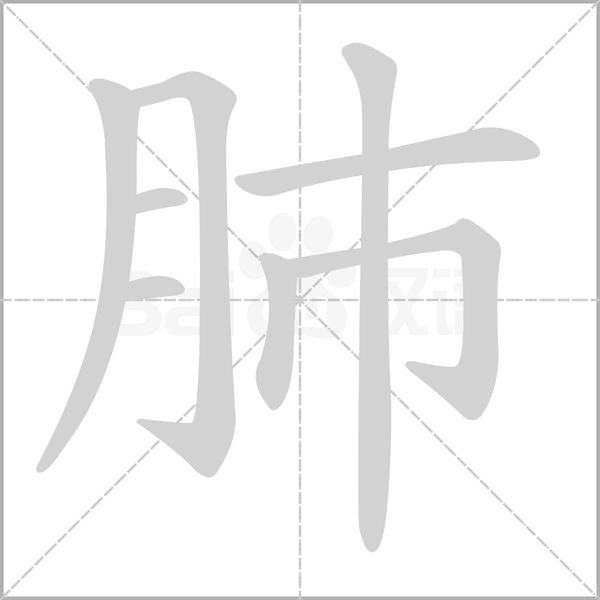 肺笔顺动图