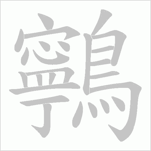 鸋笔顺动图