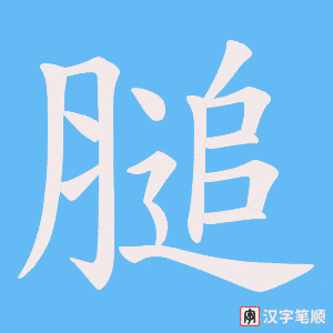 膇笔顺动图