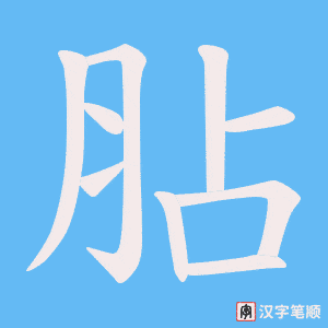 胋笔顺动图