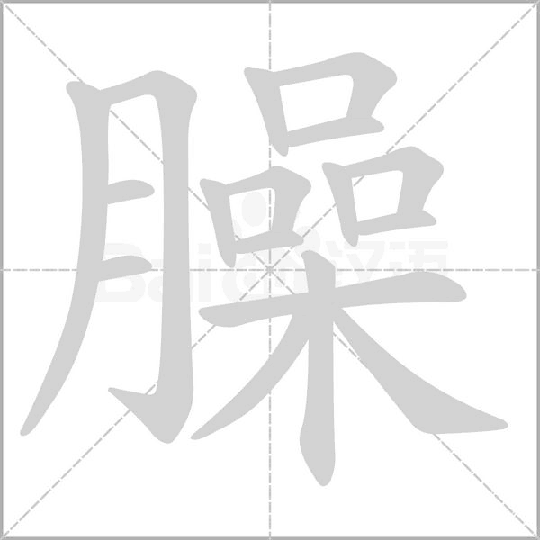 臊笔顺动图