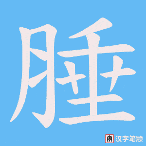 腄笔顺动图