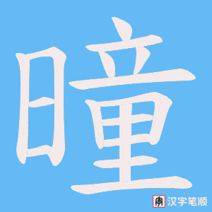 曈笔顺动图