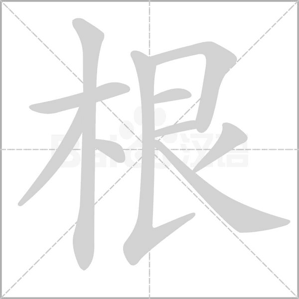 根笔顺动图