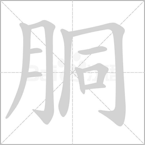 胴笔顺动图