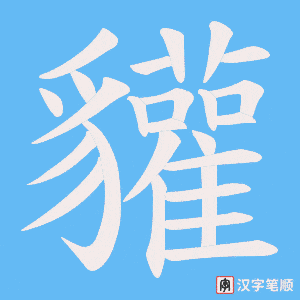 貛笔顺动图