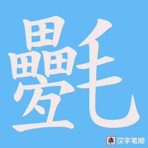 氎笔顺动图