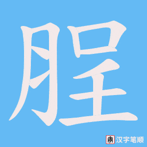 脭笔顺动图