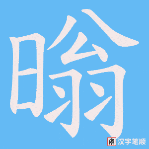 暡笔顺动图