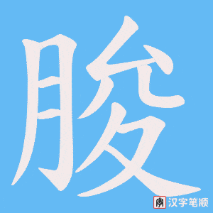 朘笔顺动图