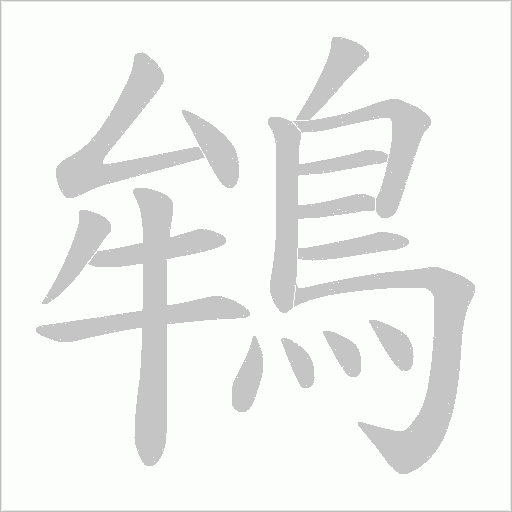 鴾笔顺动图