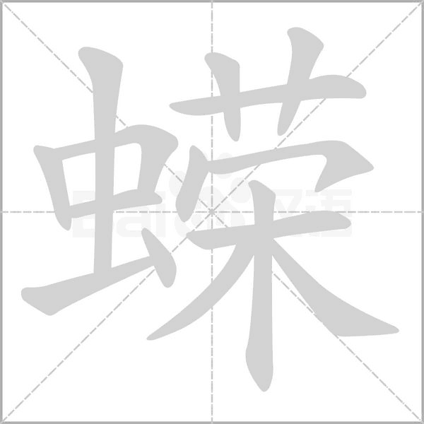 蝾笔顺动图