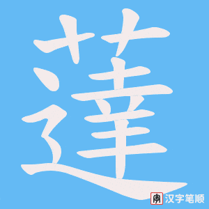 薘笔顺动图