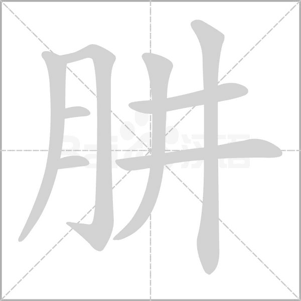 肼笔顺动图