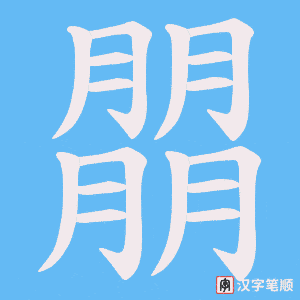 朤笔顺动图