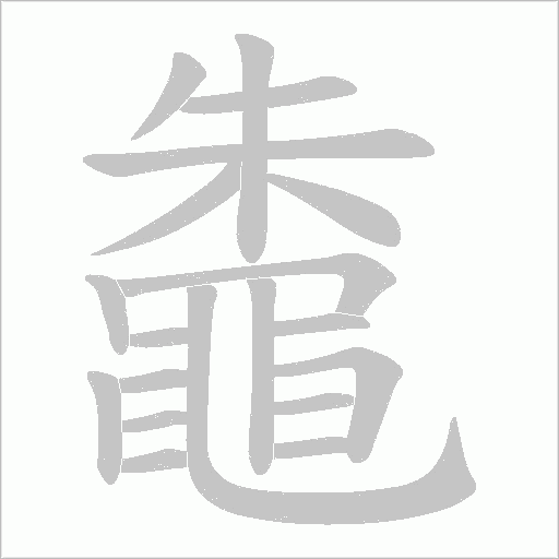鼄笔顺动图