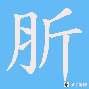 肵笔顺动图