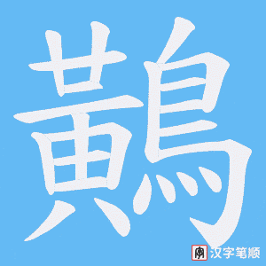 鷬笔顺动图