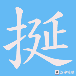 挻笔顺动图