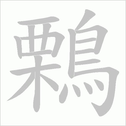 鷅笔顺动图