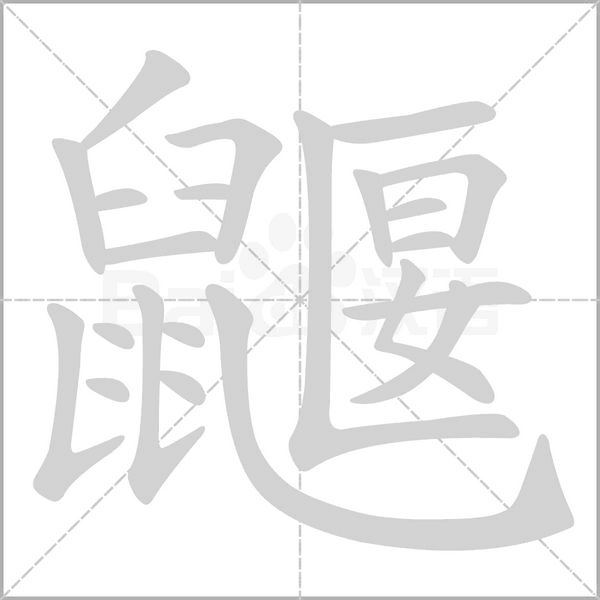鼴笔顺动图
