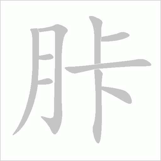 胩笔顺动图