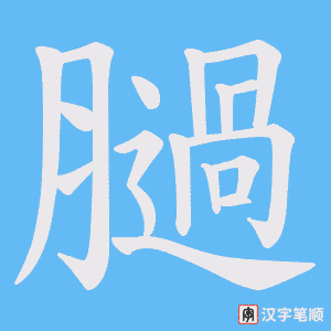 膼笔顺动图