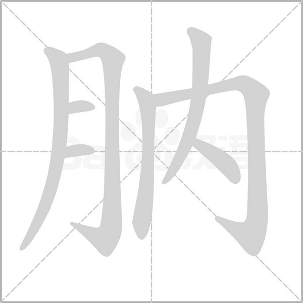 肭笔顺动图