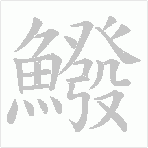 鱍笔顺动图