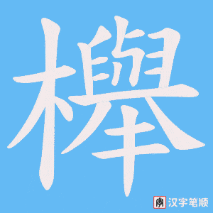 櫸笔顺动图