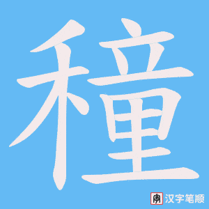 穜笔顺动图