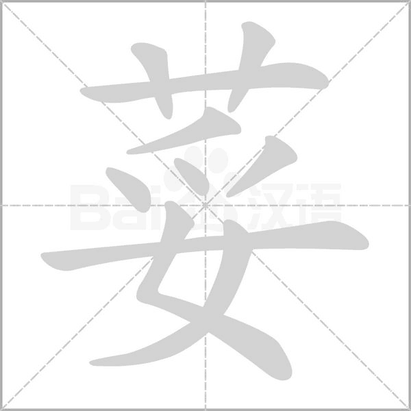 荽笔顺动图