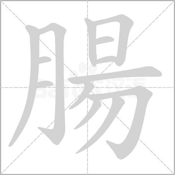 腸笔顺动图