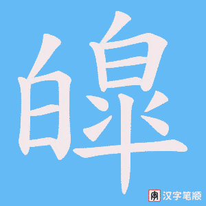 皡笔顺动图
