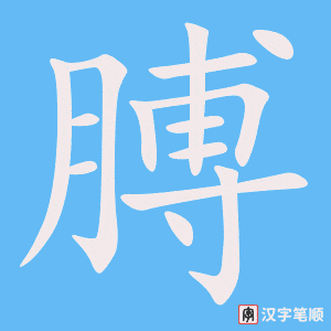 膊笔顺动图