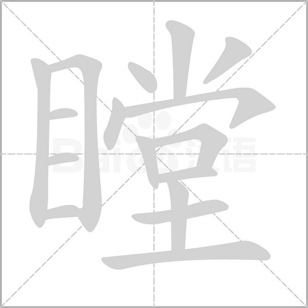 瞠笔顺动图