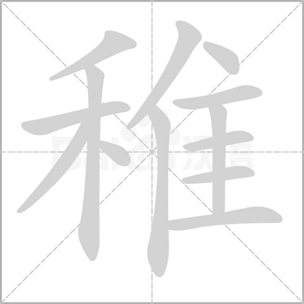 稚笔顺动图