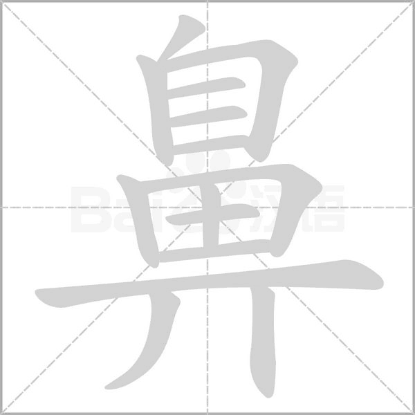 鼻笔顺动图