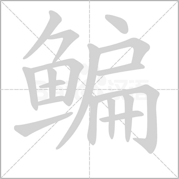 鳊笔顺动图