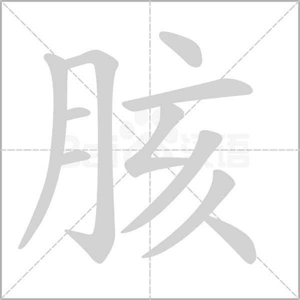 胲笔顺动图