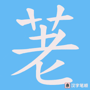 荖笔顺动图