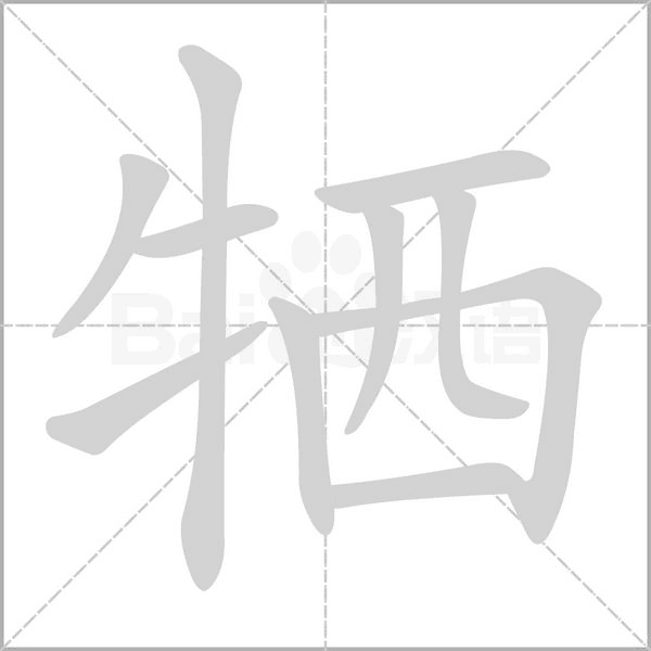 牺笔顺动图